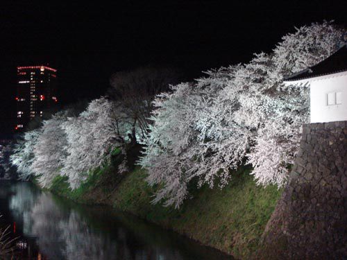 山形市　～　霞城公園③　～