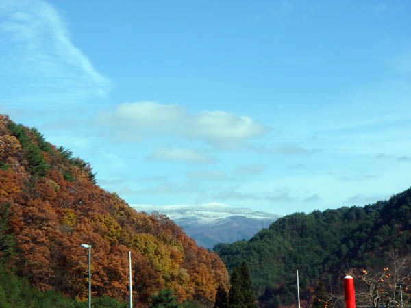 ハッキリしない天気・・・