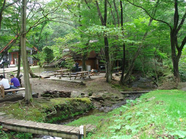 ネットにやられた・・・【那須高原　茶臼の森】
