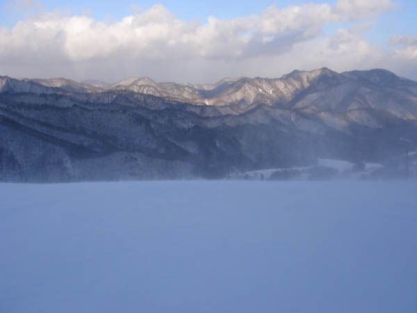 風が強いと耳がちぎれそう・・・