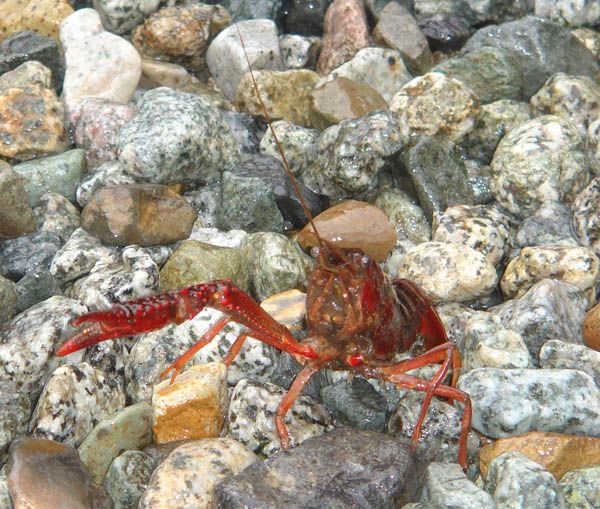 壮絶なる死闘の果ての代償・・・　【自宅玄関前】