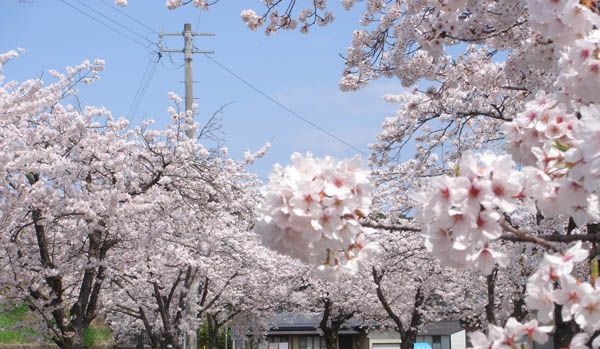 穴場かも？【上山市　上山競馬場】