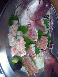 ★味よし「めで鯛(たい)!・・・のお造りです!」