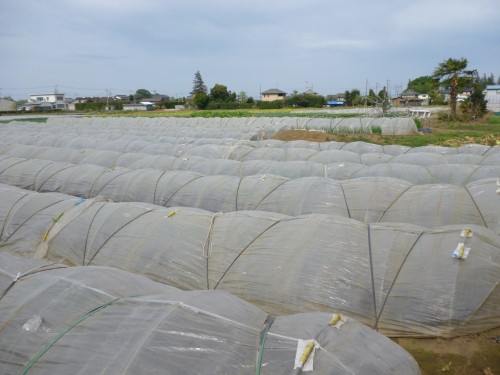 ★味よし「茨城県へ・・・研修に行ってきました(その1)!!」