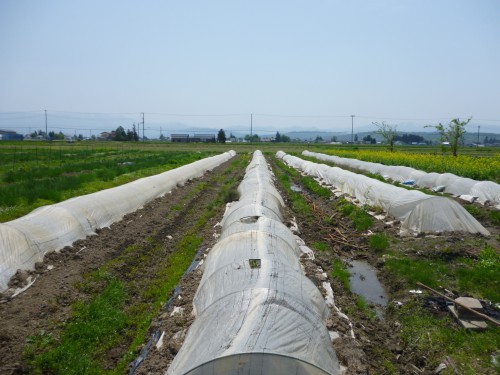 ★ビニールって、これの事です!