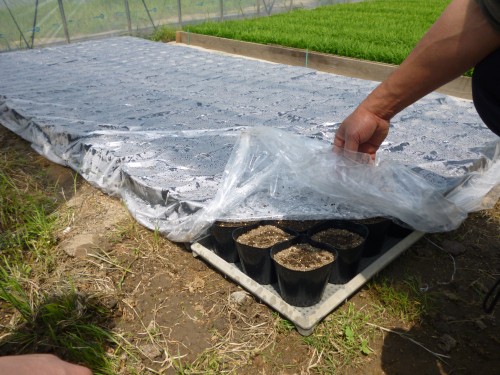 ★味よし「実践しました!!(笑)」