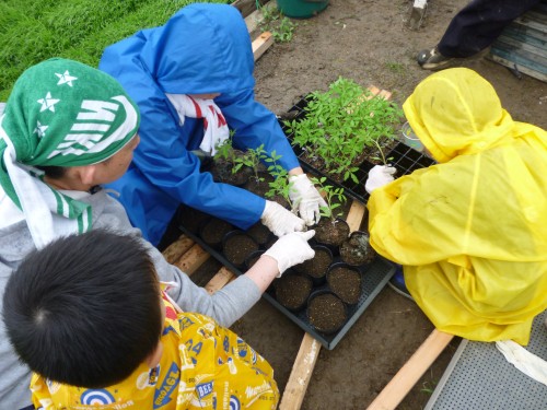 楽しかったです!!