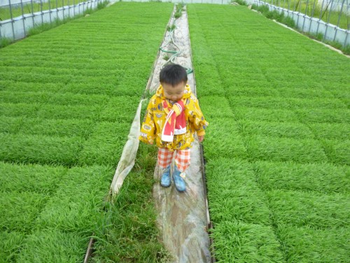 ★味よし「しゅんごい(スゴイ)広~い!!」
