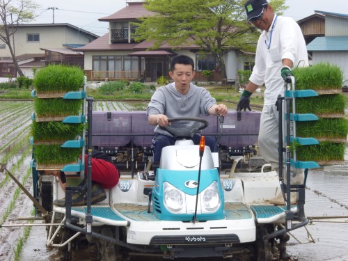 ★味よし「またまた、田植えしました!!(笑)」