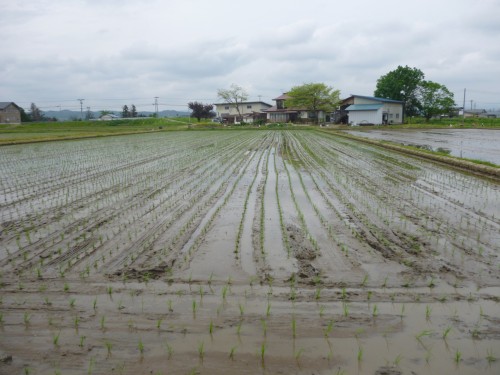 ★私だけ?曲がってる?