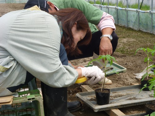 ★なんだか重そうです・・・