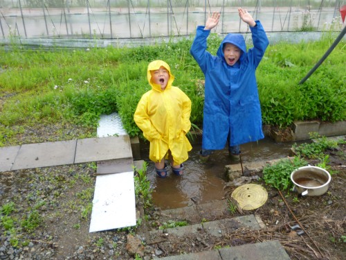 ★ちがうでしょ~??