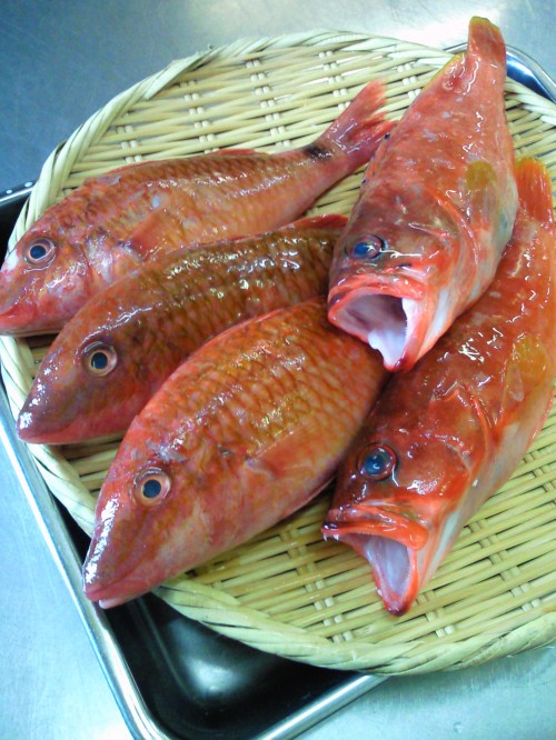 ★味よし「おじさん?」入荷しました!?