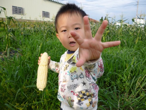 ★お手伝いさせていただきました!!