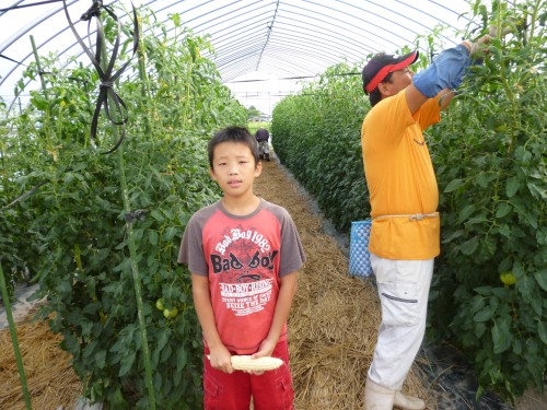 ★味よし「最高の食育だと思いました!!」