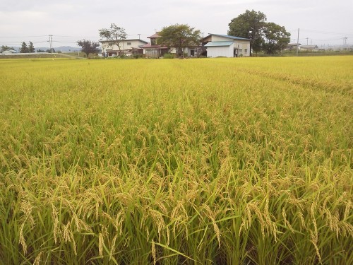 ☆そういえば!!