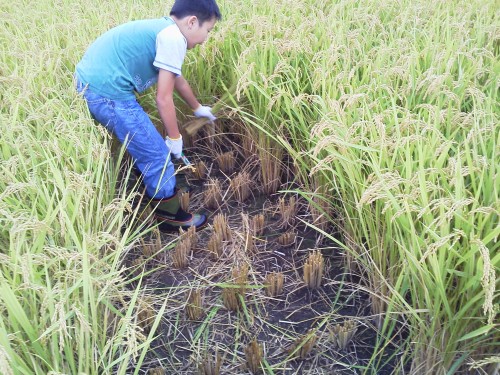 ★サイコーに楽し~い!!