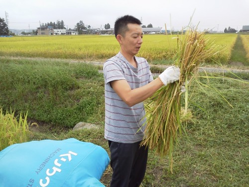 ★お手伝いさせていただきました!!