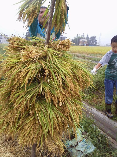 ★これも、難しかった・・・たぶん私だけ?
