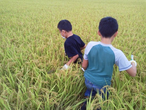 ★かくれんぼか~??