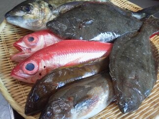 ★ごめんなさいね~!!(泣)