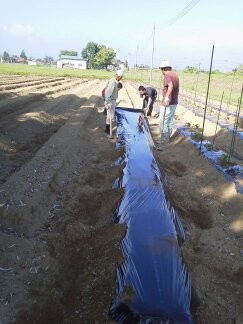 ★結構、コツがいります・・・