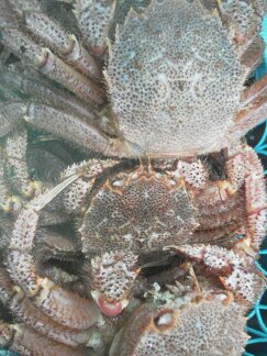 ★味よし「ご法事のご予約、ありがとうございます♪」