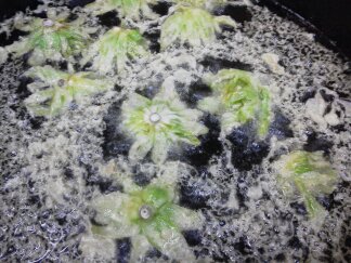 ★味よし「職人の技?光る、ふきのとうの天ぷらです♪」