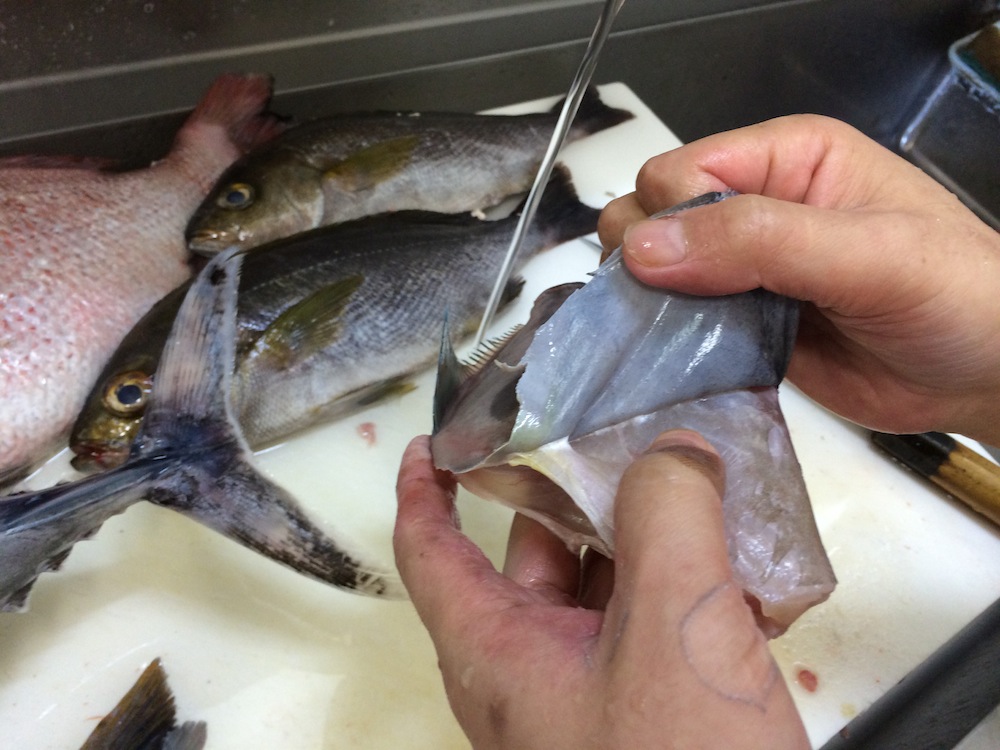 ★味よし「ビリビリ・・・と、音がします・・・!!」