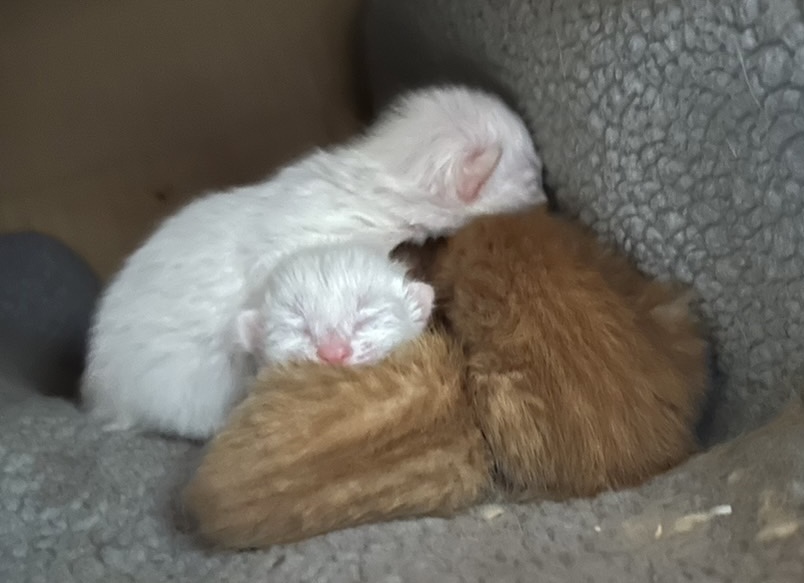 ★味よし「全然…お店と関係ありませんが!?(笑)(^◇^;)」