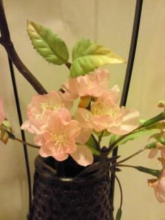 ★味よし「お花見コースはいかが?」