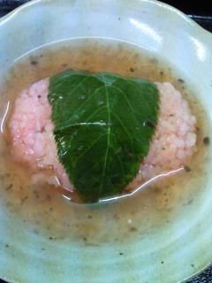 ★味よし「もうすぐ桜開花！お花見コースです」