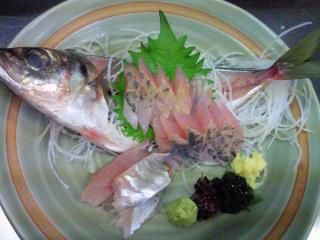 ★味よし「鰺のお造りです」