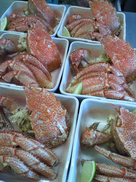 ★味よし「この大きい毛蟹（けがに）いかがですか？」