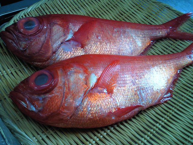 ★味よし「今日の金目鯛はイイっすよ！」