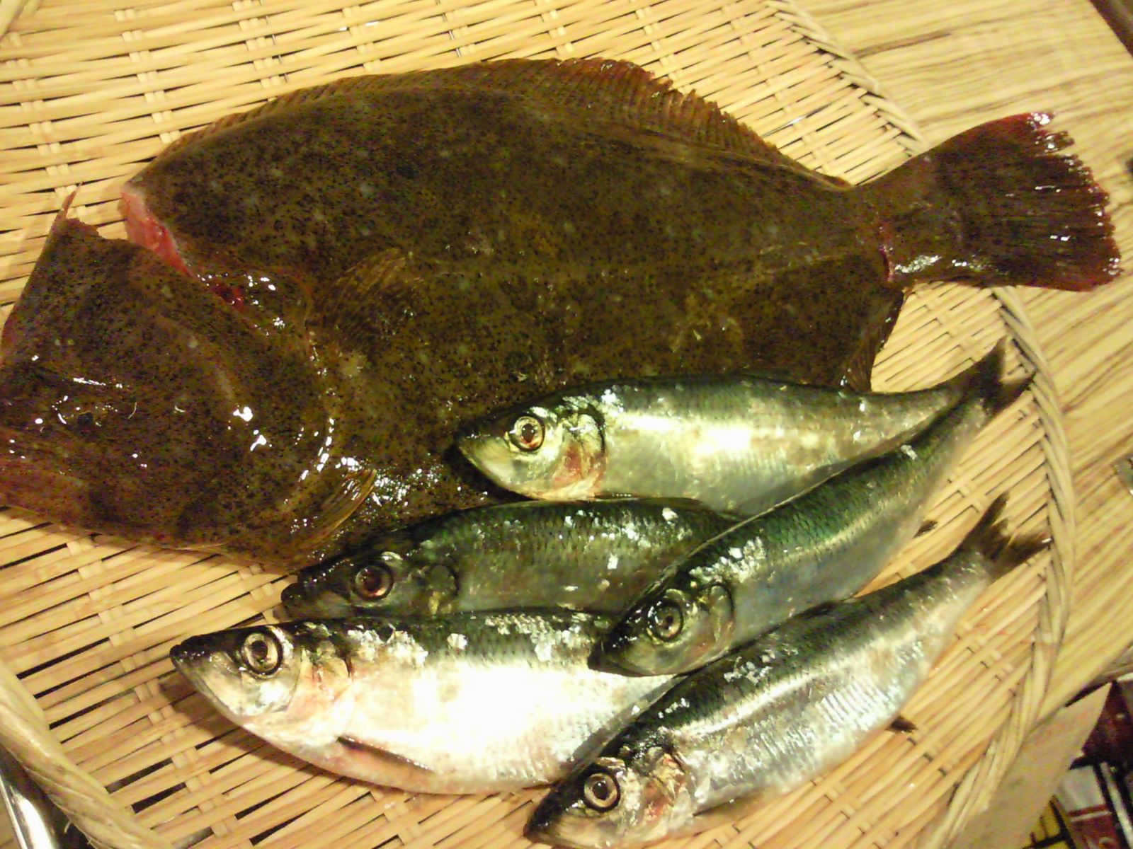 ★味よし「鰊（にしん）と鮃（ひらめ）、新鮮ですよ！」