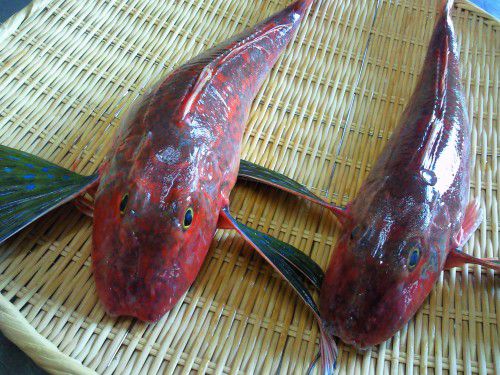 ★味よし「魴々（ほうぼう）です！！」