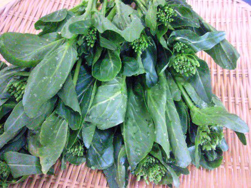 ★味よし「新鮮野菜のアスパラ菜です！！」