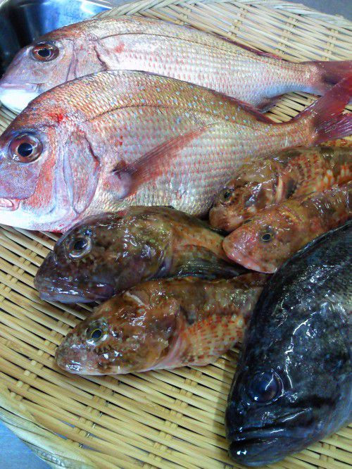 ★味よし「本日も築地直送、イイですよ！！」