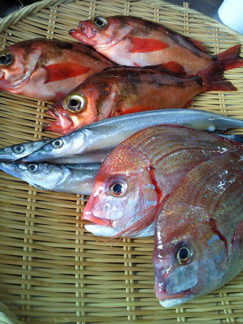 ★味よし「本日の築地直送はこちらです！！」