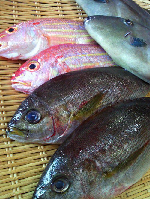 ★味よし「本日の築地直送！鮮魚です！！」