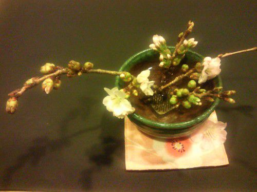 ★味よし「春を探しに・・・！！」