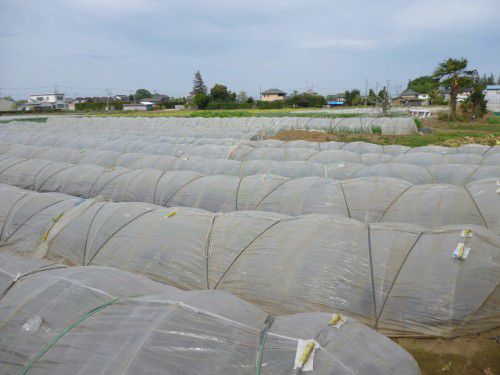 ★味よし「茨城県へ・・・研修に行ってきました（その１）！！」