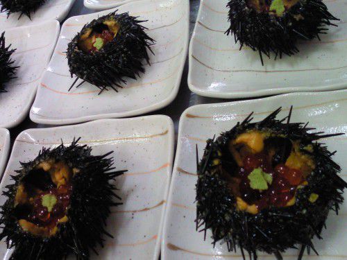 ★味よし「ただいまで～す☆今日から、営業しています！！」