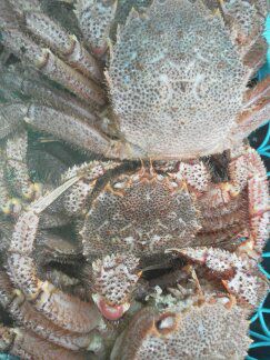 ★味よし「ご法事のご予約、ありがとうございます♪」