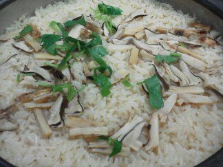 ★味よし「旬のオススメ！松茸（まつたけ）づくしコース！」