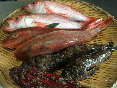 ★味よし「今日も築地より、旨～い鮮魚が届いてます♪」