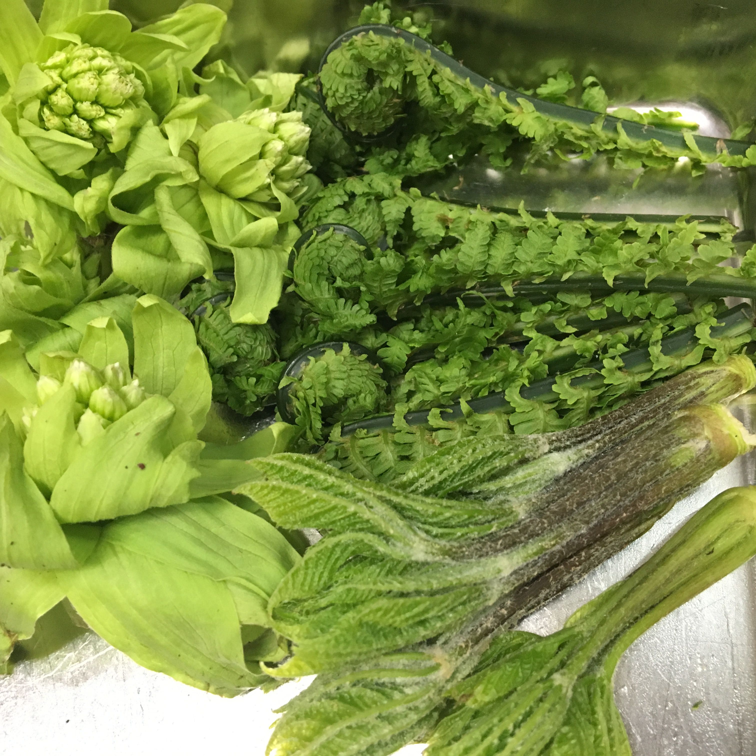 ★味よし「やっぱり、地元山形の山菜は、最高ですね♪」