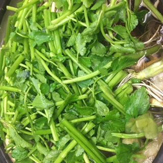 ★味よし「こちらは、せり鍋です！！」