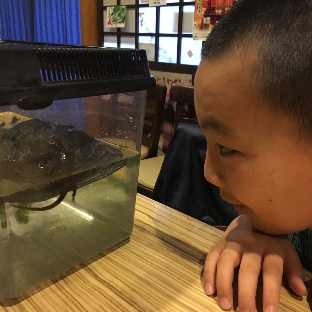 ★味よし「三兄弟のそれぞれ♪その３」